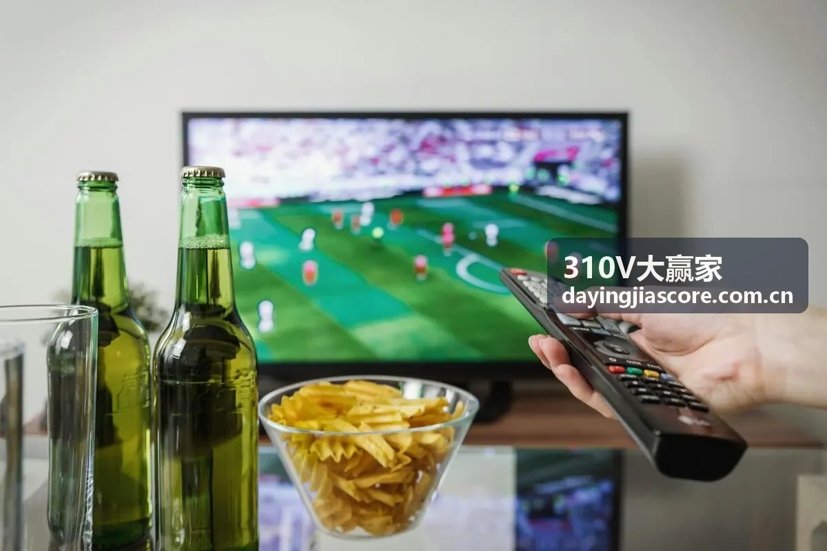 310V大赢家用户案例-陈女士风险控制